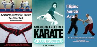 American Freestyle Karate: A Guide to Sparring