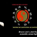 Bruce Lees Jeet Kune Do