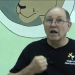 Creating American Freestyle Karate - interview with Professor Dan Anderson