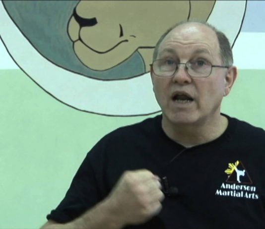Creating American Freestyle Karate - interview with Professor Dan Anderson