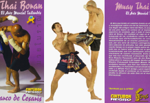 Muay Thai Boran: The Martial Art of Thailand