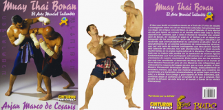 Muay Thai Boran: The Martial Art of Thailand