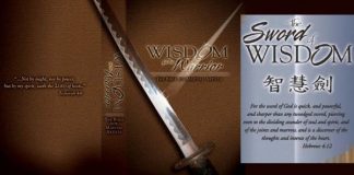 Wisdom for the Warrior Bible