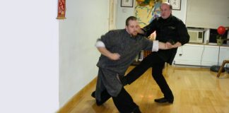 Alan Goldberg Wiing Chun Kung Fu