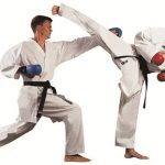 Sports Karate and Traditional Fighting