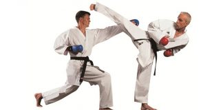 Sports Karate and Traditional Fighting