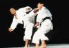 Sports Karate and Traditional Fighting