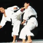 Sports Karate and Traditional Fighting