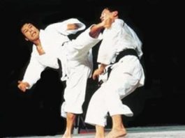 Sports Karate and Traditional Fighting