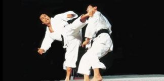 Sports Karate and Traditional Fighting