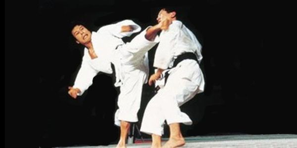 Sports Karate and Traditional Fighting