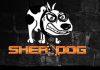 Sherdog Articles, Interviews and News