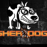 Sherdog Articles, Interviews and News