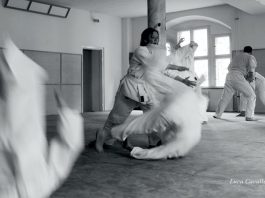 Luca Cavallotto's Aikido in Berlin