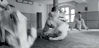 Luca Cavallotto's Aikido in Berlin