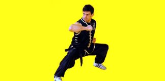 Felipe Godoy: Choy Lay Fut Kung Fu