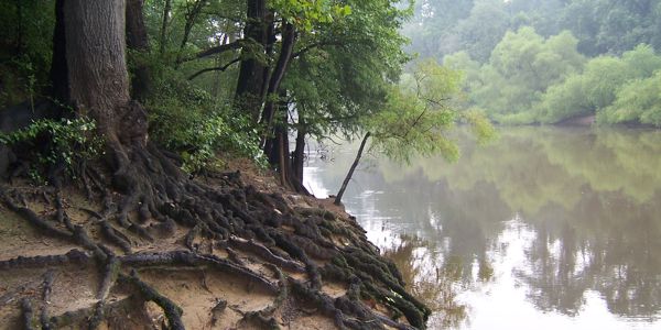 Roots of a Martial Arts System