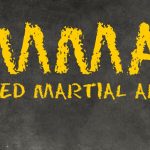 Welcome to the World of the MMA Warrior