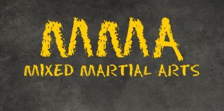 Welcome to the World of the MMA Warrior