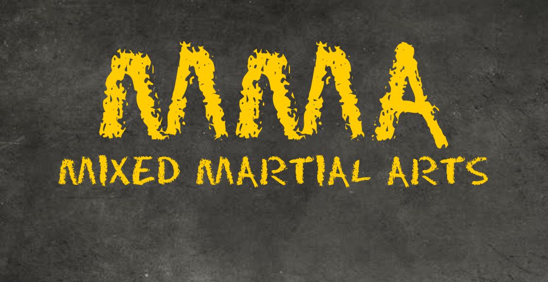Welcome to the World of the MMA Warrior