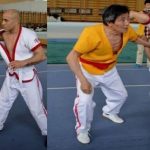 Martial Arts Styles Do Exist