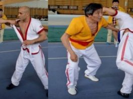 Martial Arts Styles Do Exist