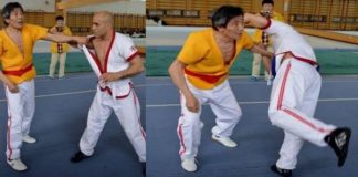 Martial Arts Styles Do Exist