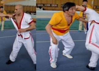 Martial Arts Styles Do Exist