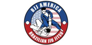 BJJ American Brazilian Jiu Jitsu Curriculum