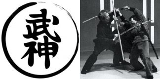 Budo Taijutsu