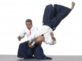 Daito-ryu Aiki Jujutsu
