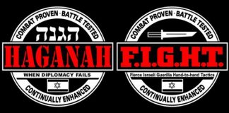Haganah and F.I.G.H.T.