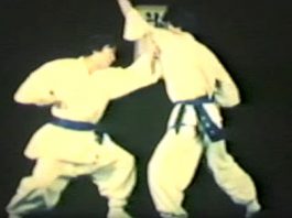 Han-Pul Korea Martial Arts