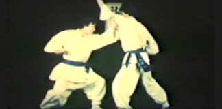 Han-Pul Korea Martial Arts