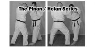 The Pinan / Heian Series