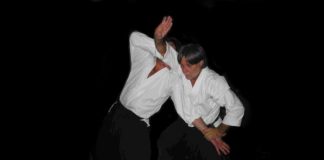 Richard Ostrofsky Aikido Principles