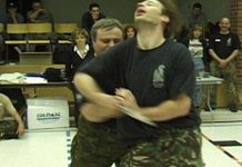 Systema; Principles of the Russian System