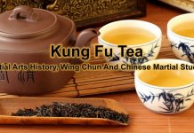 Kung Fu Tea Magazine