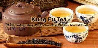 Kung Fu Tea Magazine