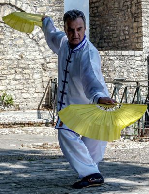 Bill Drougas Tai Chi 2016