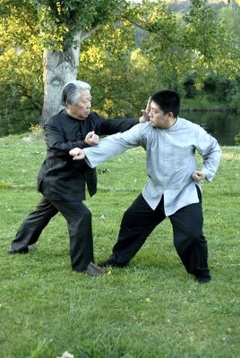 Fu Sheng Yuan Teaching