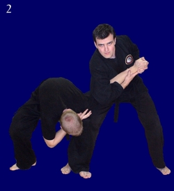 Basic Straight Armlock