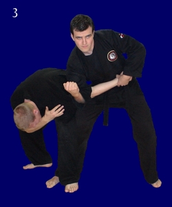 Basic Straight Armlock