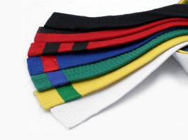 Rank in the Martial Arts