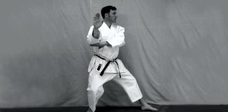 Discovering Bunkai in Kata