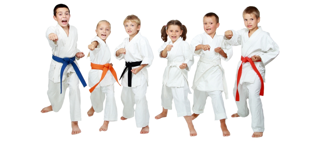 Martial Arts Training For Children