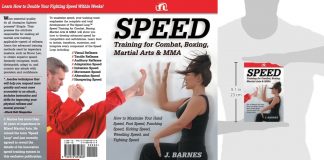 Martial Arts Speed