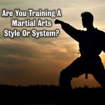 Martial Arts Style Or System