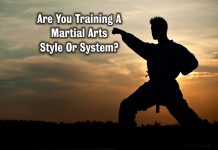 Martial Arts Style Or System