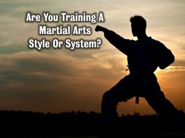Martial Arts Style Or System